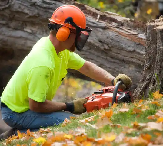 tree services Starkville